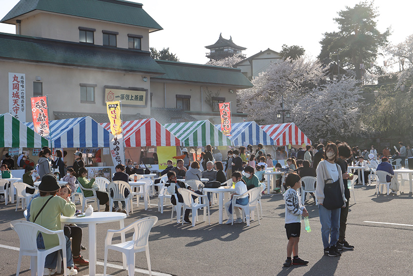 丸岡城桜まつり