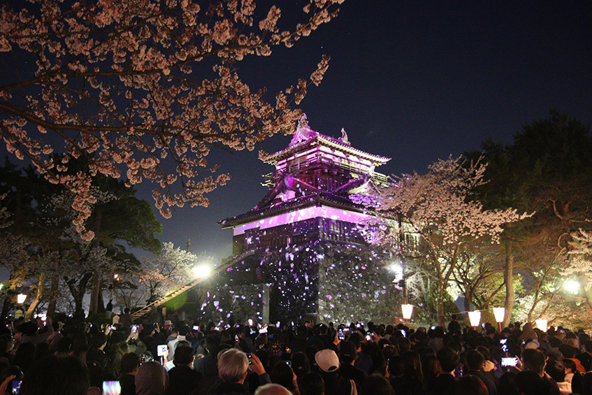 丸岡城桜まつり